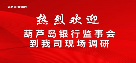 【聚焦產(chǎn)業(yè)升級】葫蘆島銀行監(jiān)事會赴正業(yè)集團專項調研