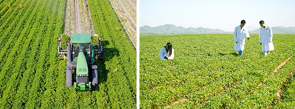 遼寧正業(yè)花生產(chǎn)業(yè)：共抗疫情，龍頭企業(yè)顯擔當！(圖3)